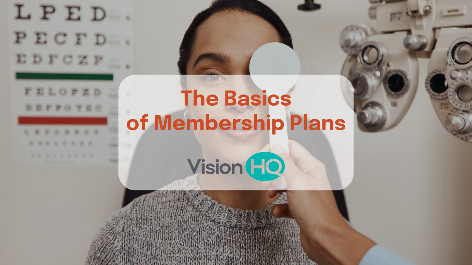 basics of vision membership plans